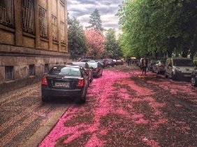 Невижимость в Нерухомість у Ужгороді