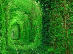 Невижимость в Нерухомість у Рівне